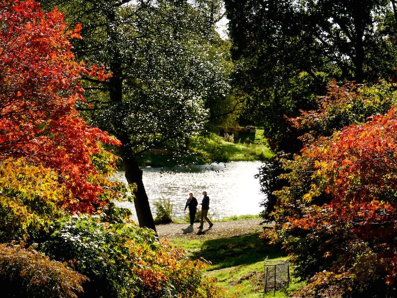 Yorkshire Arboretum - York car-free adventures