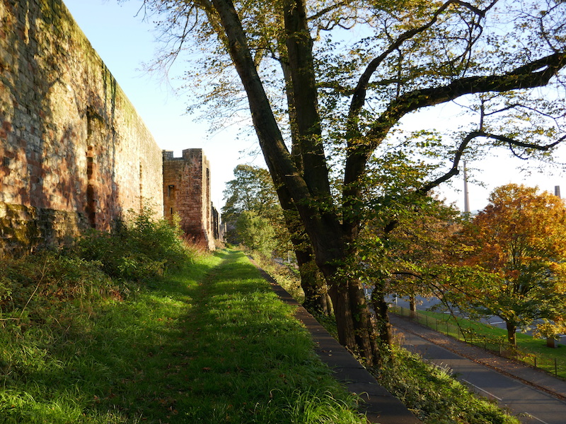 Tree by castle - Carlisle car-free adventures