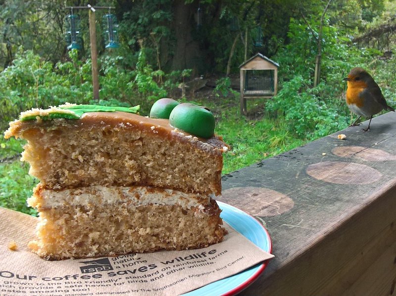 Cake and a robin - spotted on our tour of tea and cakes car-free venues
